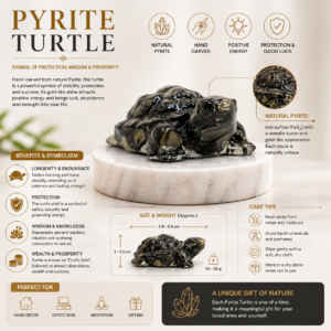 Turtle of pirate